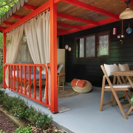 Gayb-i By Naturelife - Free Access To Hostel *